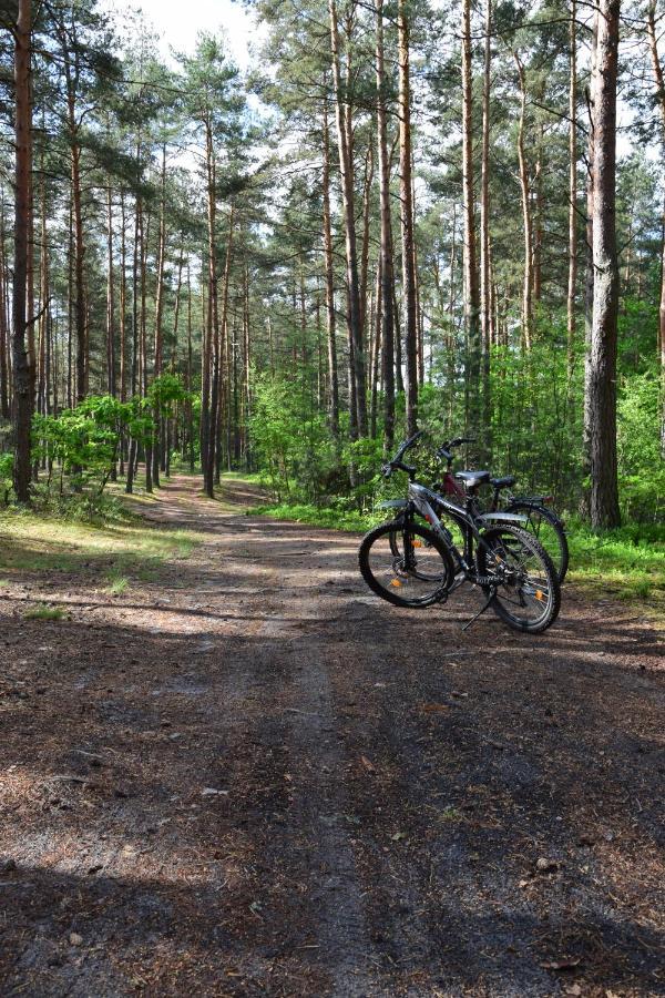 Stary Janow - Pensjonat Staporkow Buitenkant foto