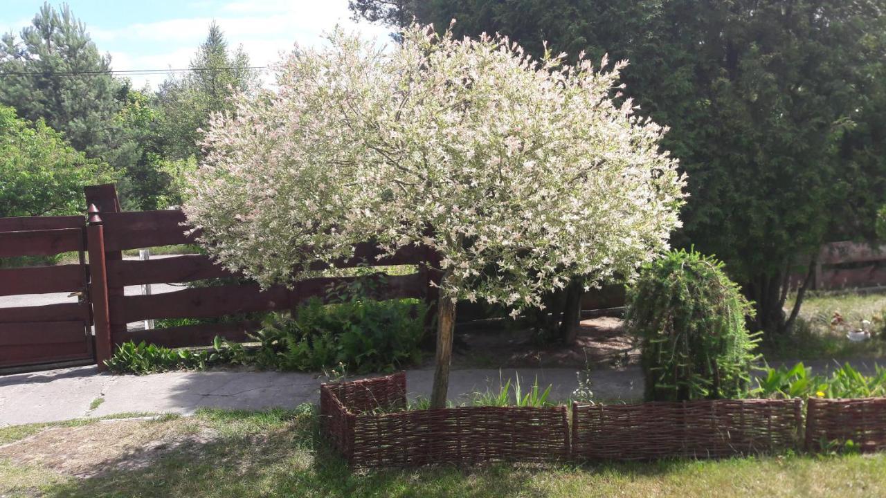 Stary Janow - Pensjonat Staporkow Buitenkant foto